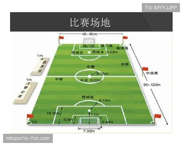 足球禁赛规则详解：关键判罚标准与执行流程解析